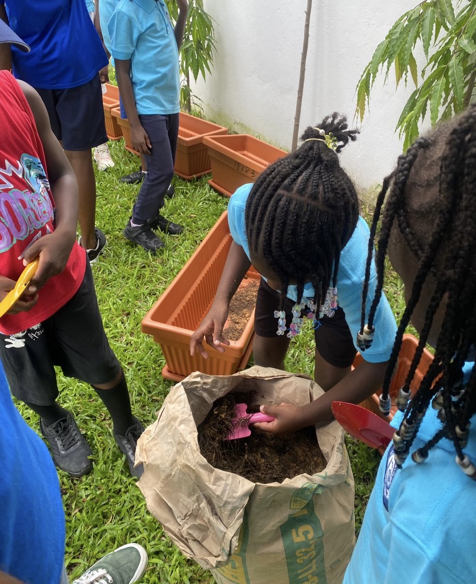 Photo buttons British International School, Dakar